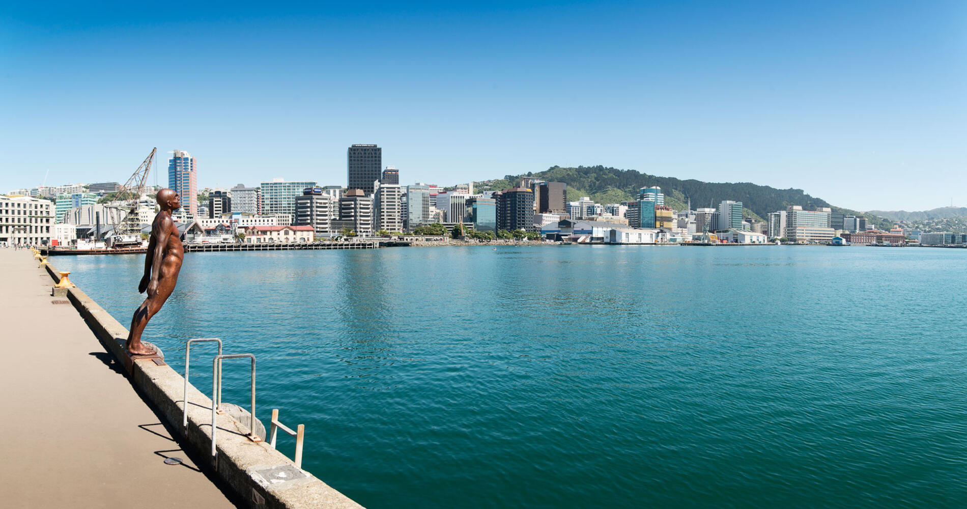 Morning walk along Wellington waterfront